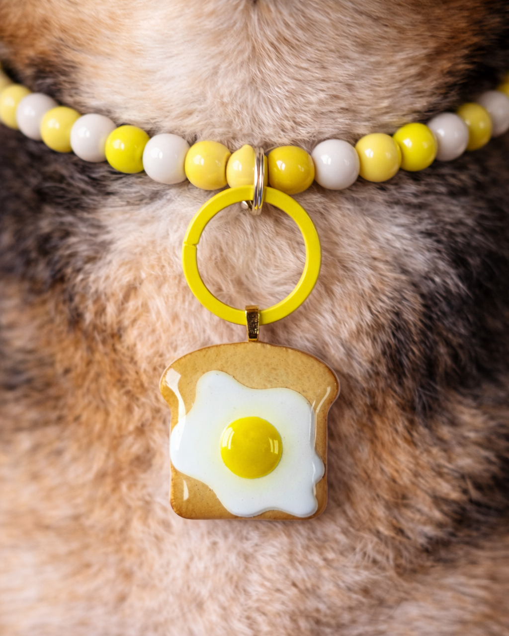 Egg on Toast Tag