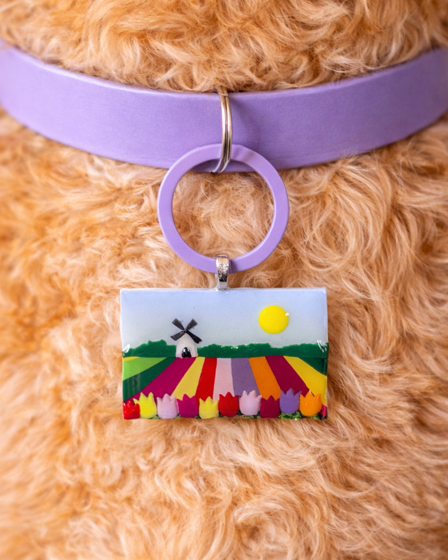 Tulip Fields Tag