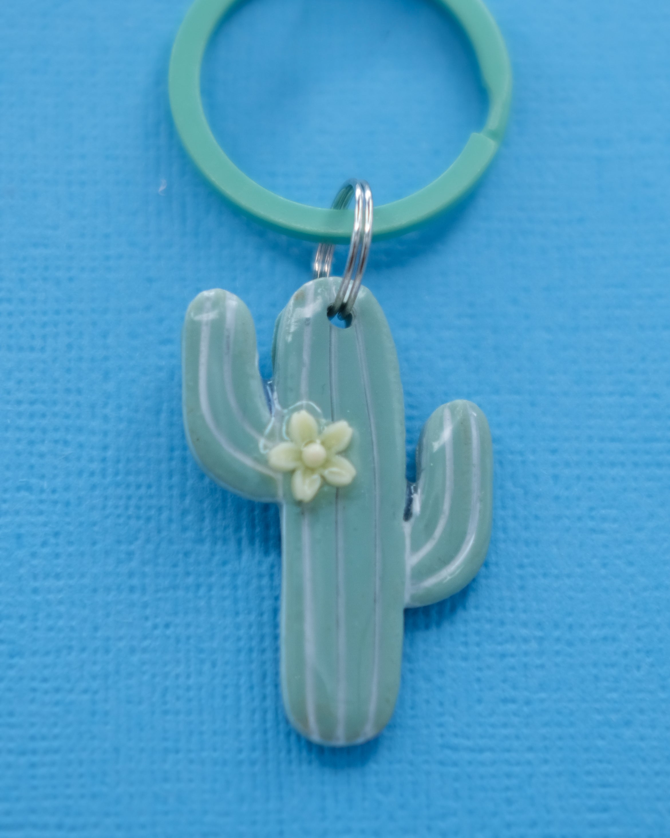Cactus Tags