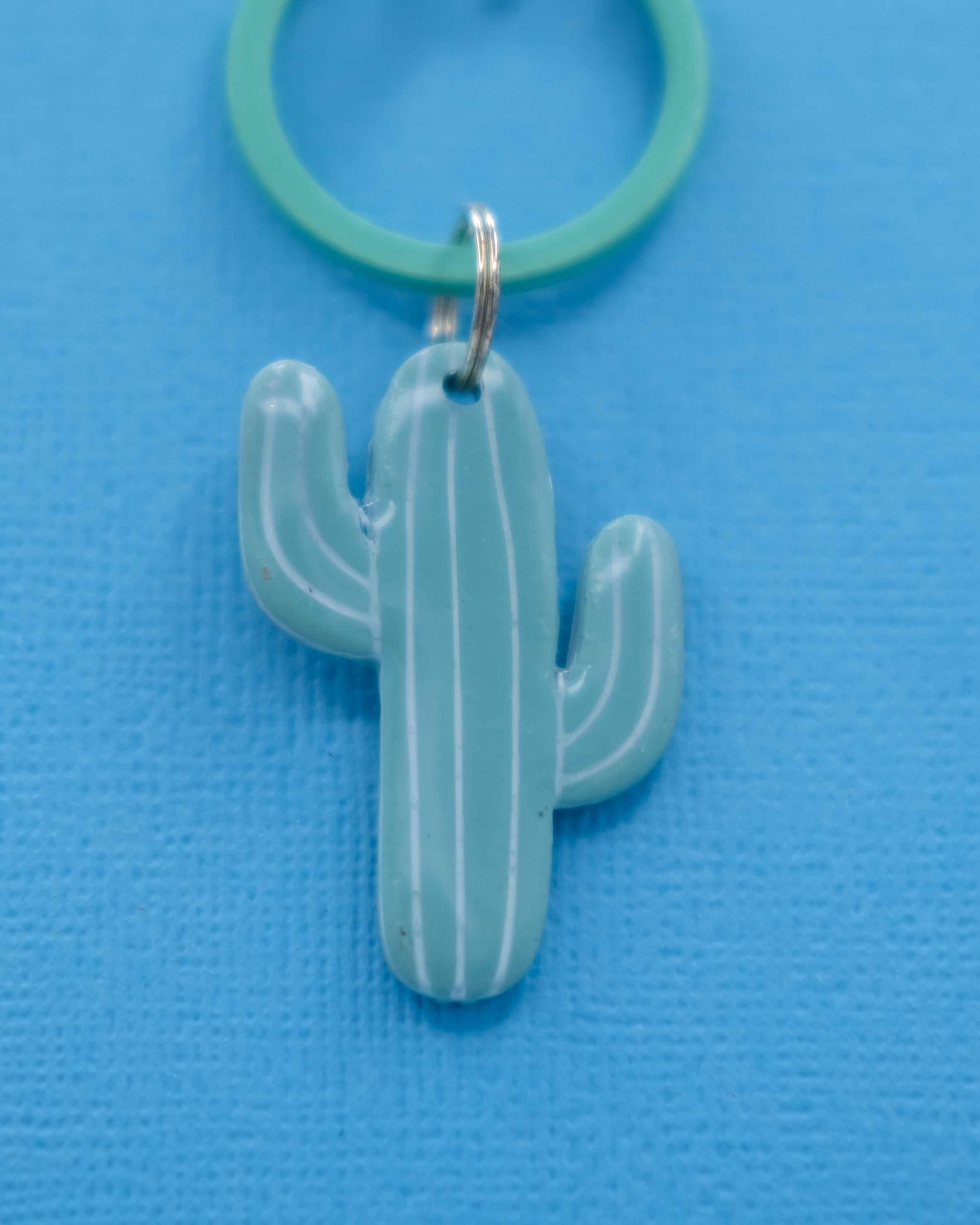 Cactus Tags