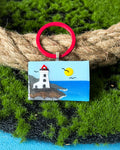 Lighthouse Tag